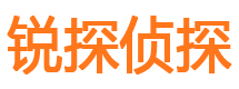 平南市私家侦探